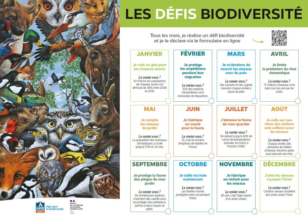 calendrier des défis biodiversité