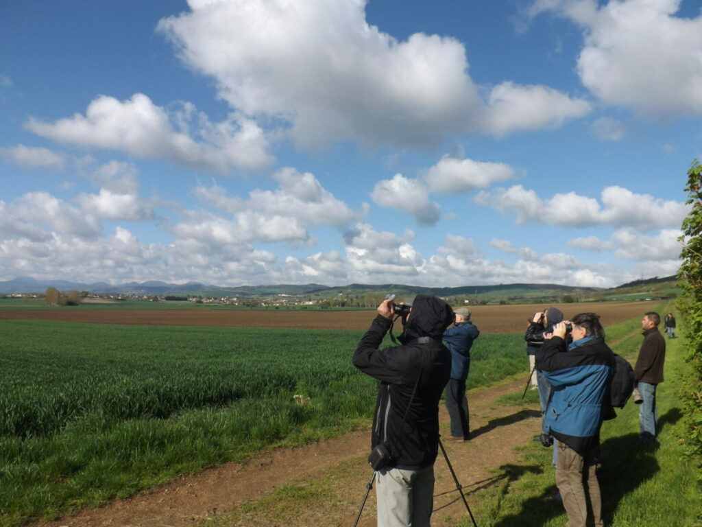 Un groupe de bénévoles observent aux jumelles et à la longue vue des oiseaux