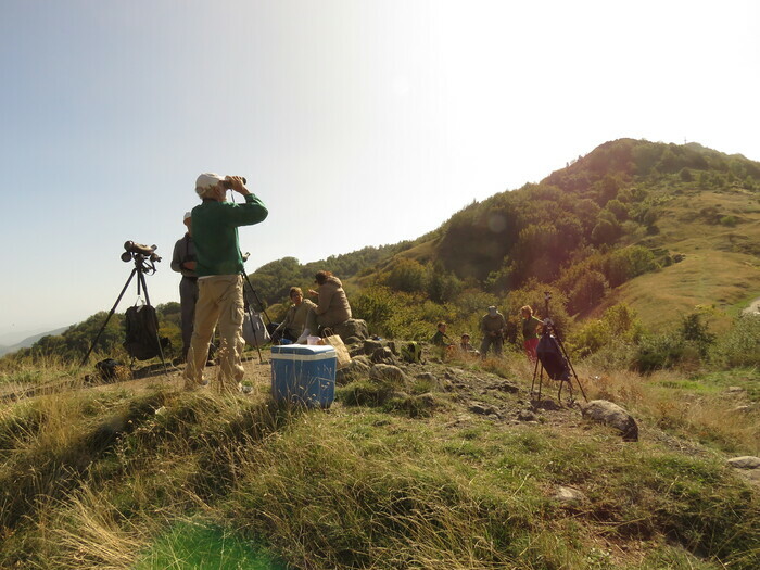 Observateurs des oiseaux migrateurs au col de l'Escrinet