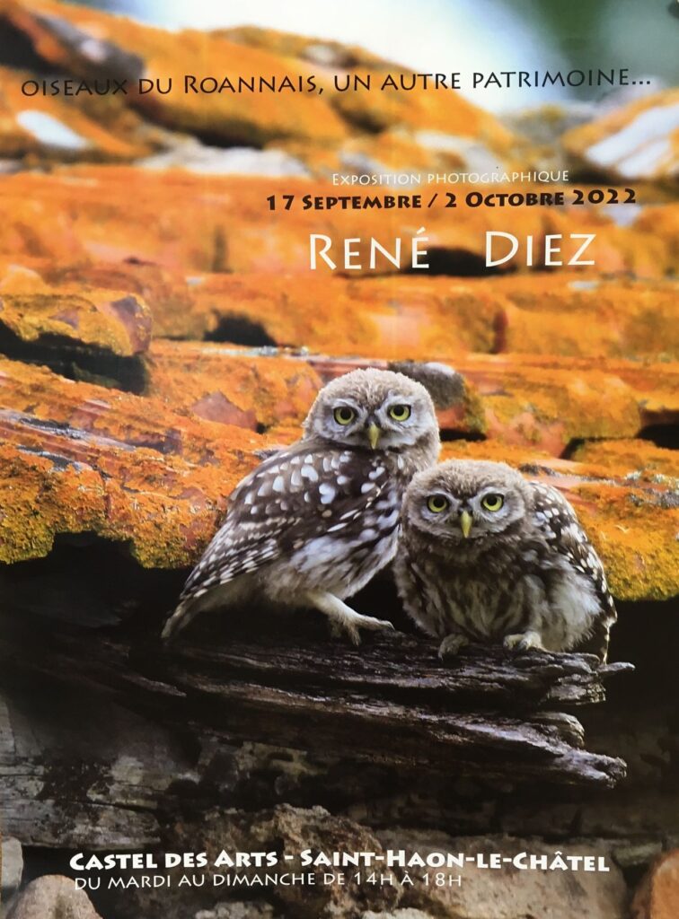 Exposition René Diez