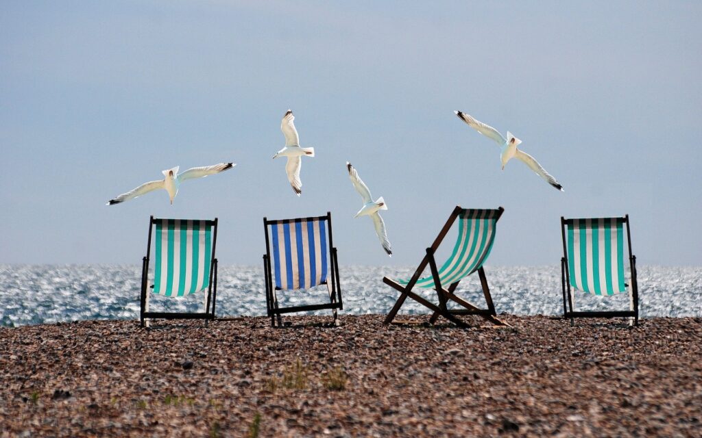 Oiseaux survolant 4 chaises longues sur la plage