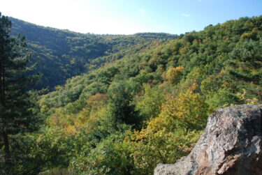 Vue panoramique de l'ENS de la Côte Verse à Volvic. Milieux boisés variés