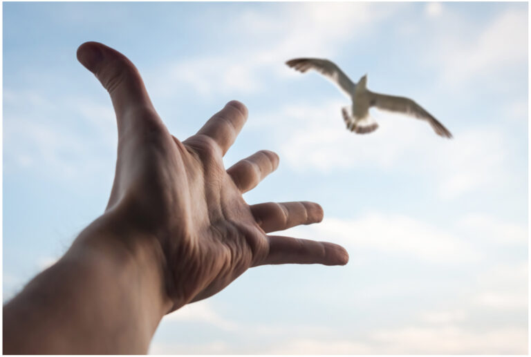 Hand reaching to bird in the sky. Selective focus on a hand.