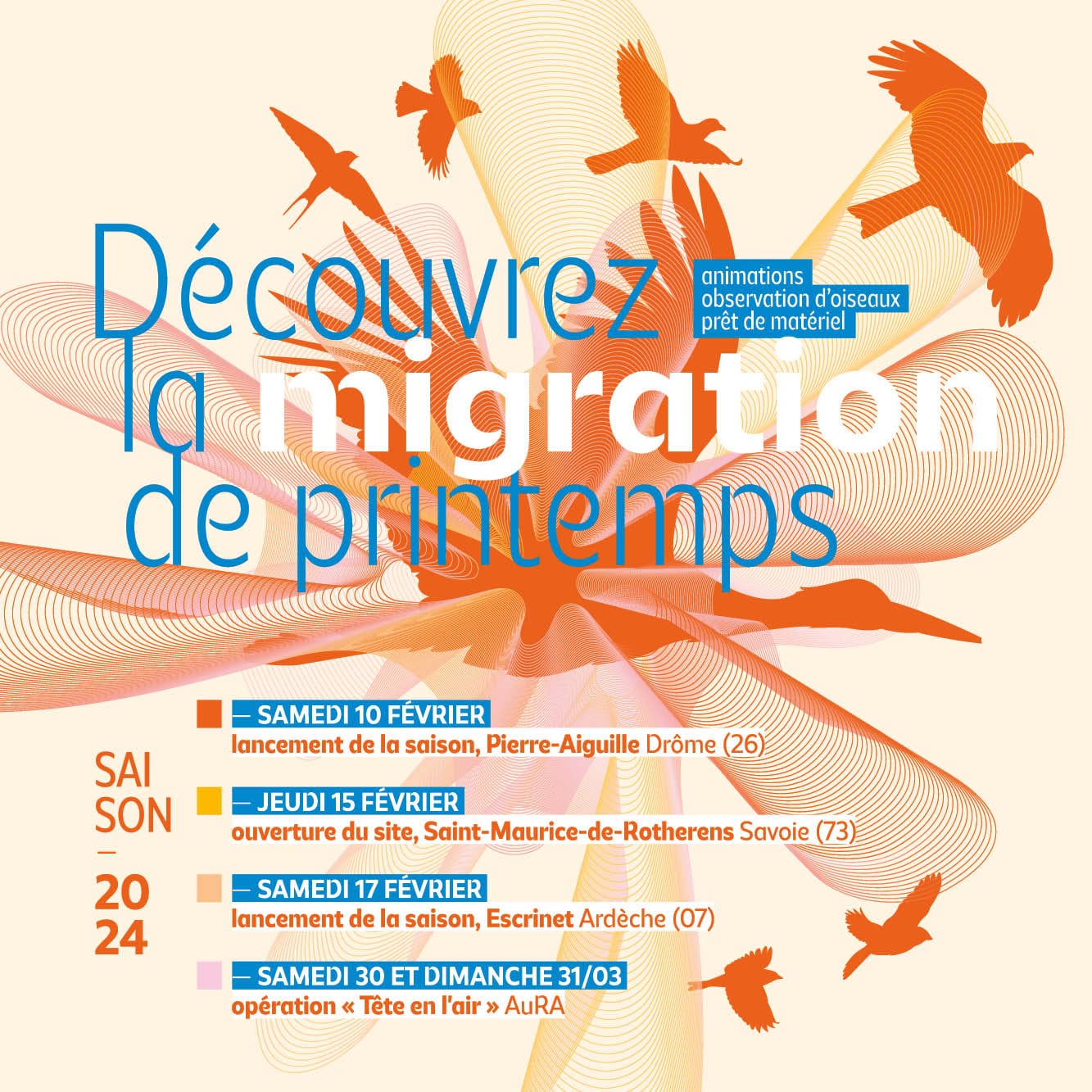 Migration de printemps_1200x1200