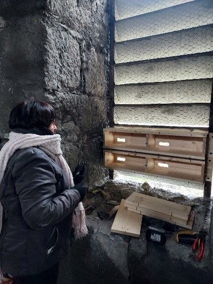 Une bénévole LPO devant le nichoir, depuis l'intérieur du clocher