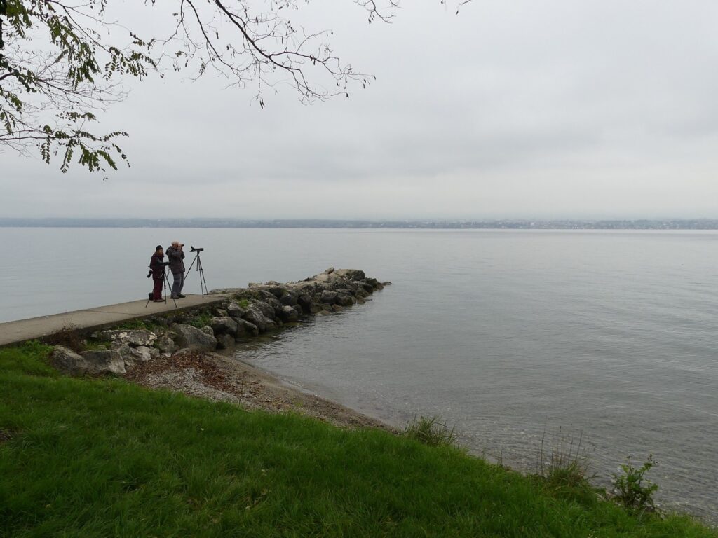 Deux observateurs sur une digue