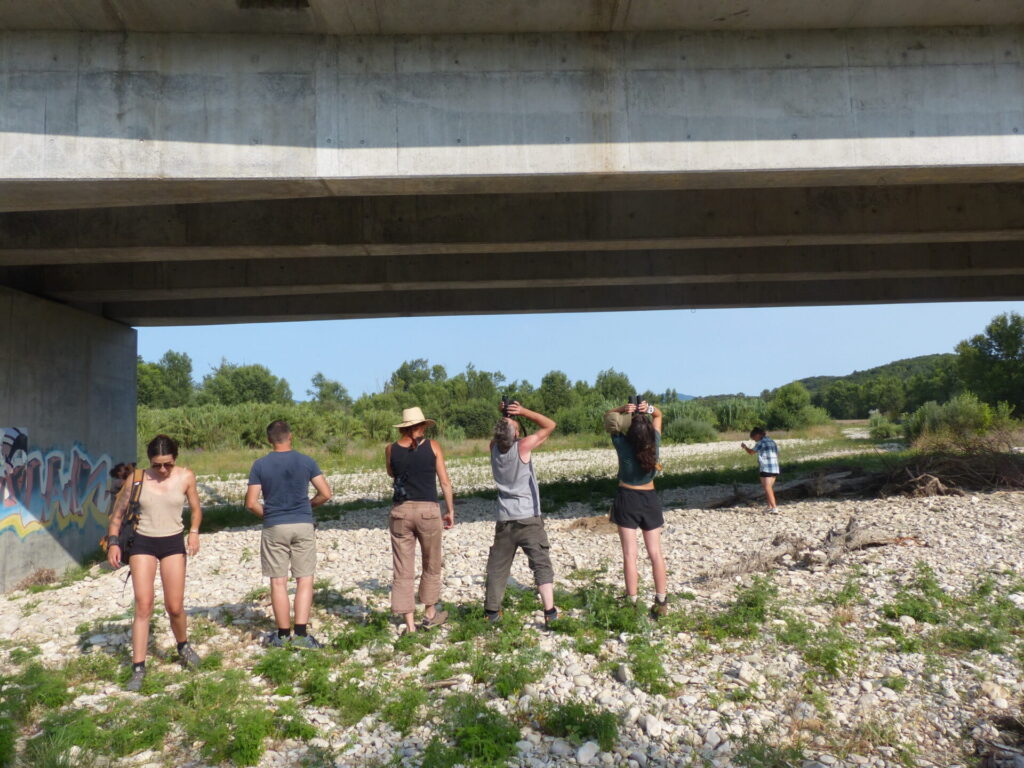 Des bénévoles observent aux jumelles des chauves-souris gîtant sous un pont.