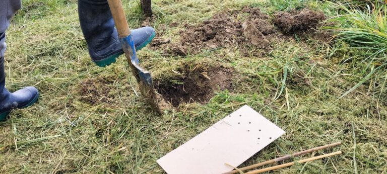 Un pied botté enfonce une bêche dans la terre