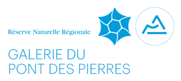 RNR Pont des Pierres logo