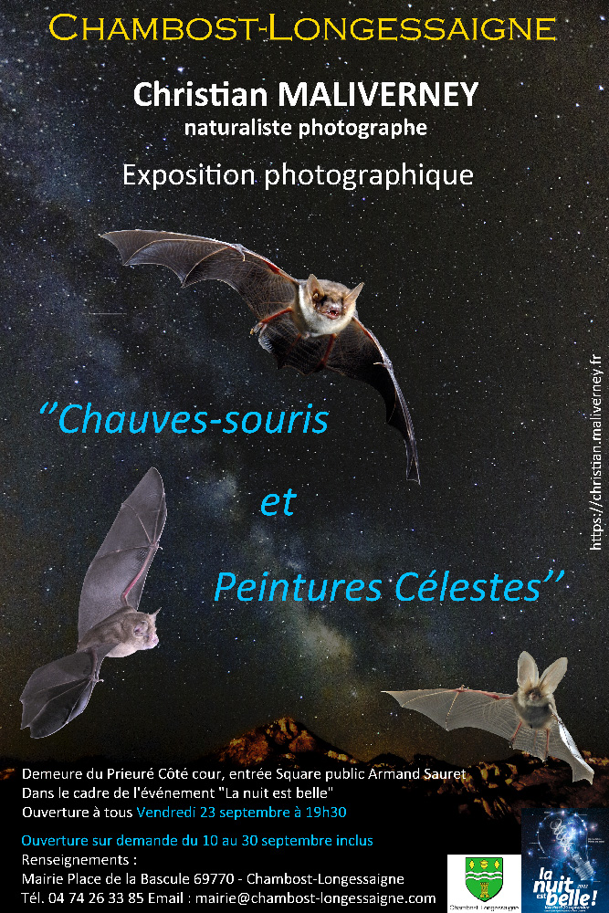 Affiche exposition photographique Chauves-souris et Peintures célestes