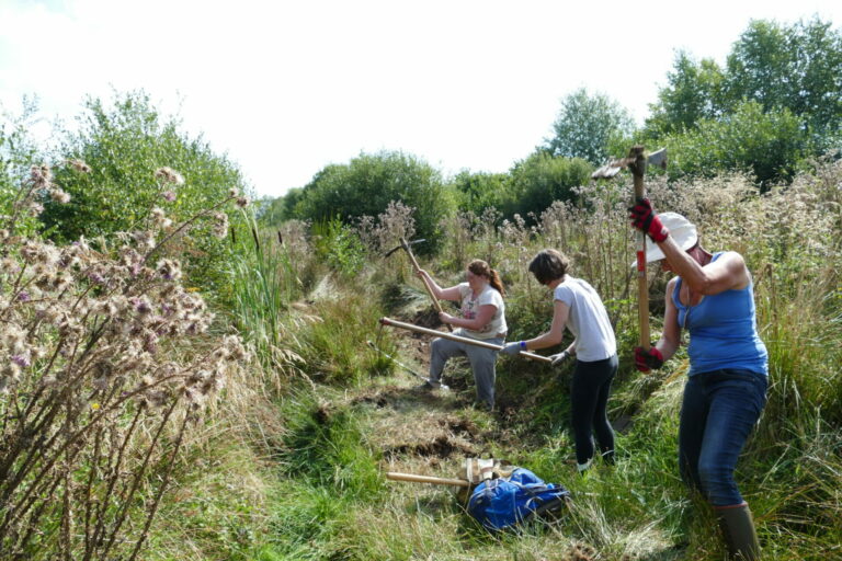 Bénévoles travaillant sur un chantier nature de restauration