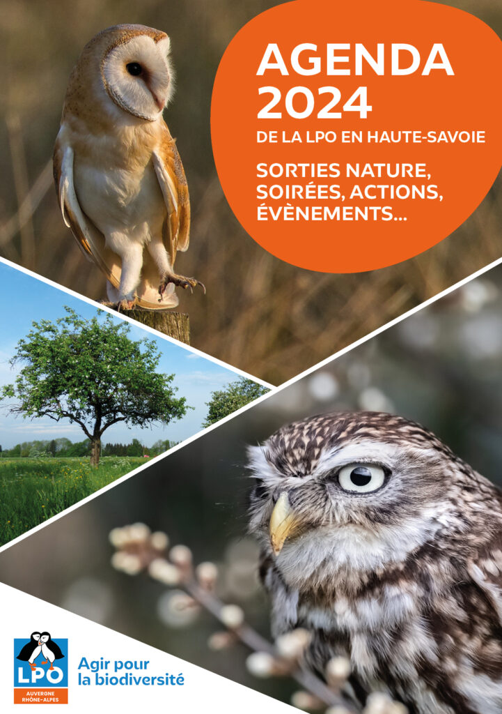 Agenda 2024
de la LPO en Haute-Savoie