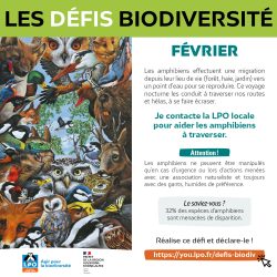 VisuelDefisBiodiv2