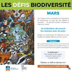 VisuelDefisBiodiv3