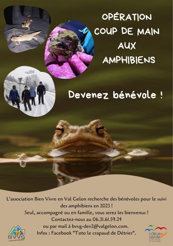 Opération coup de main aux amphibiens
Devenez bénévole !
L'association Bien Vivre en Val Gelon recherche des bénévoles pour le suivi des amphibiens en 2023.
Contactez-nous au 06 31 61 59 24 ou à bvvg-dev2@valgelon.com