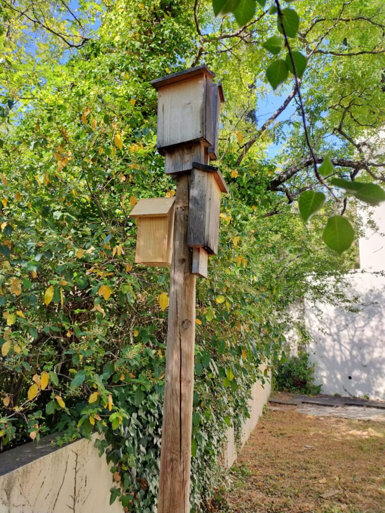 4 gîtes à chauves-souris posés sur un piquet près de végétaux au collège R. Barjavel de Nyons