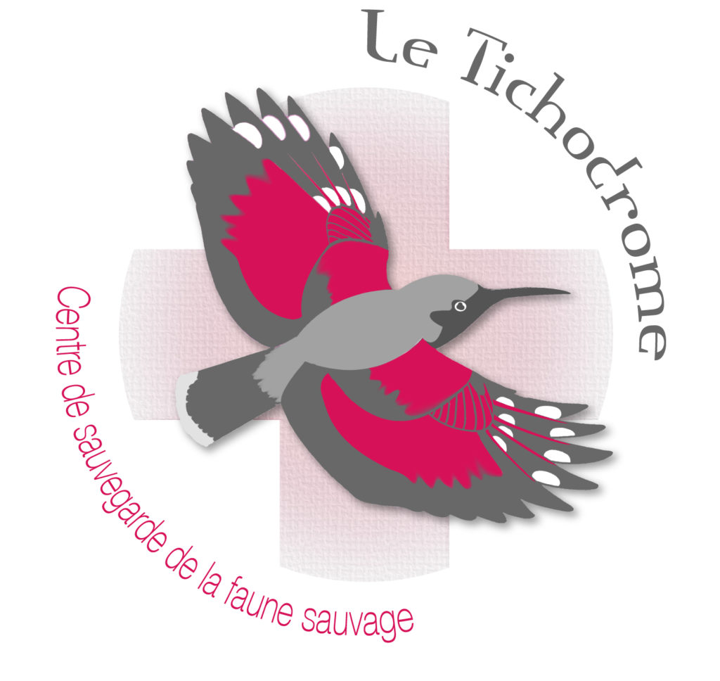 Logo Le Tichodrome