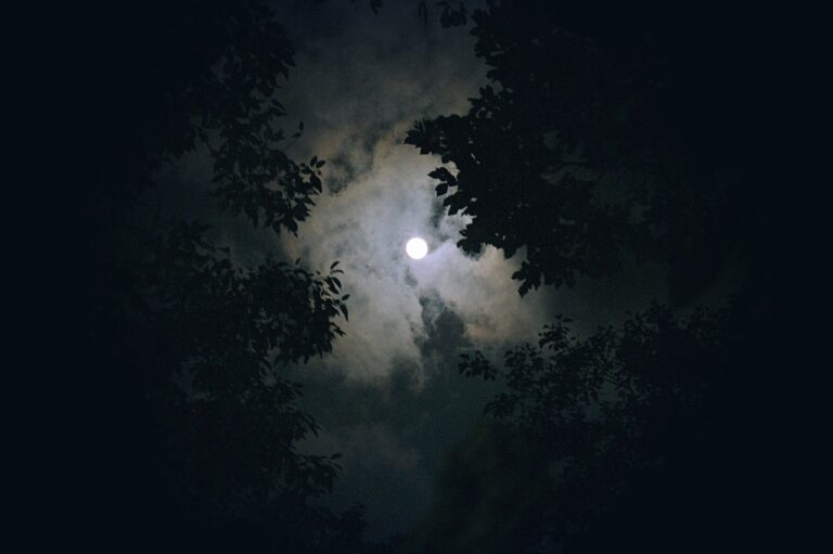 Lune-forêt - Pixabay
