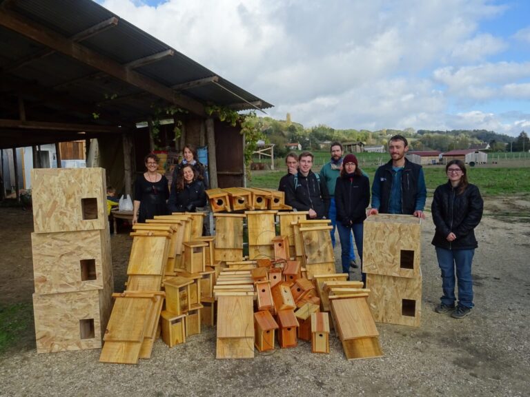 Chantier nichoirs