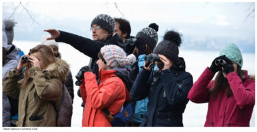 Plusieurs personnes observent les oiseaux aux jumelles