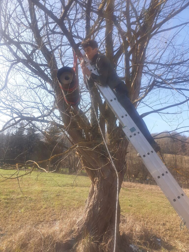 Un salarié de la LPO en haut d'une échelle posée sur un arbre. Il pose un nichoir à Chevêche.